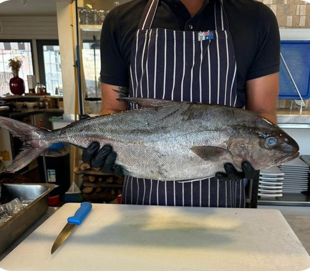 pesce-pescato